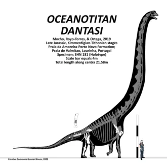 โอเชียโนไททัน (Oceanotitan)