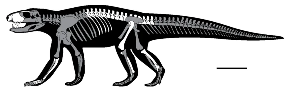 โอเกรซูคัส (Ogresuchus)