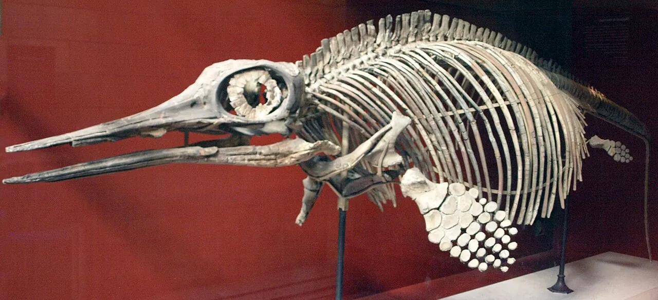 ออฟทัลโมซอรัส (Ophthalmosaurus)