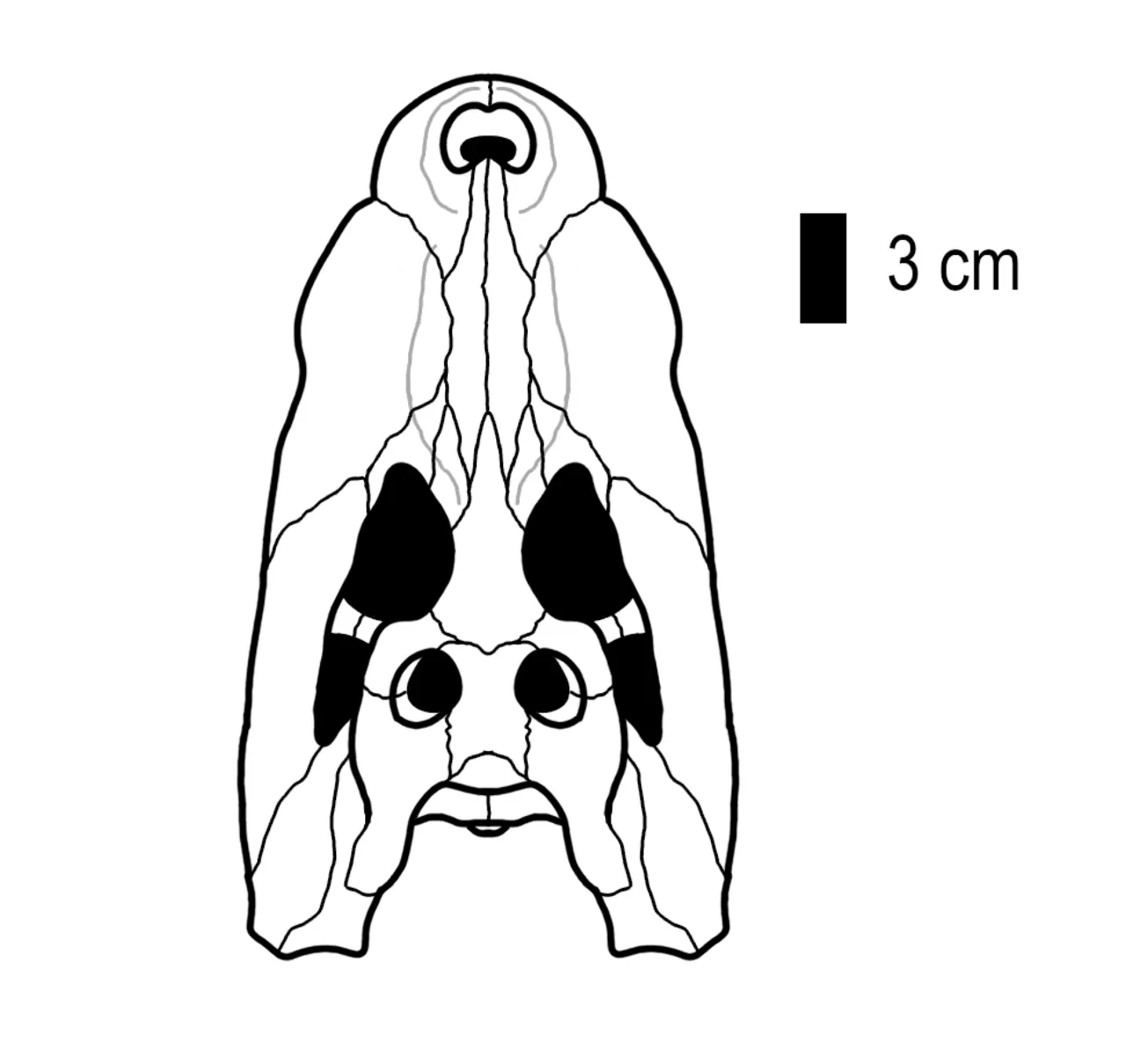 โอเรียนทาโลซูคัส (Orientalosuchus)