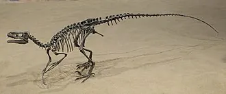 ออร์นิโทเลสทีส (Ornitholestes)