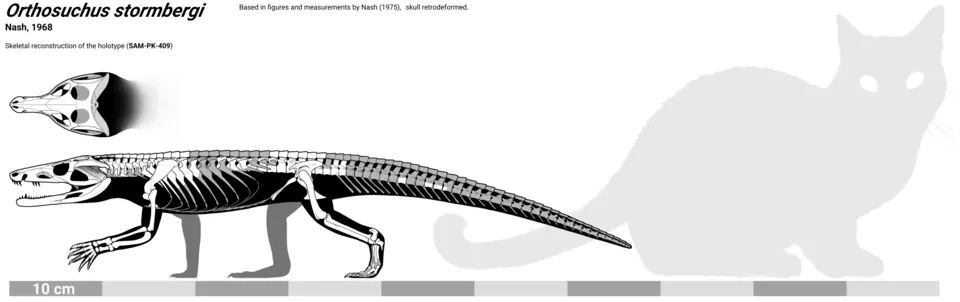 ออร์โธซูคัส (Orthosuchus)