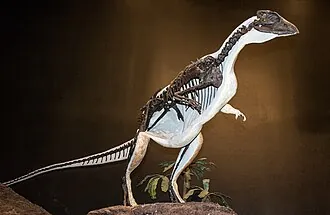 ออริคโตโดรมีอุส (Oryctodromeus)