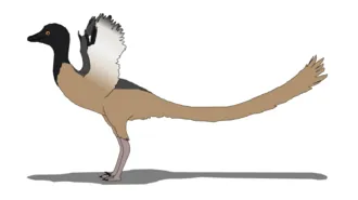 โอเวอรอแรปเตอร์ (Overoraptor)