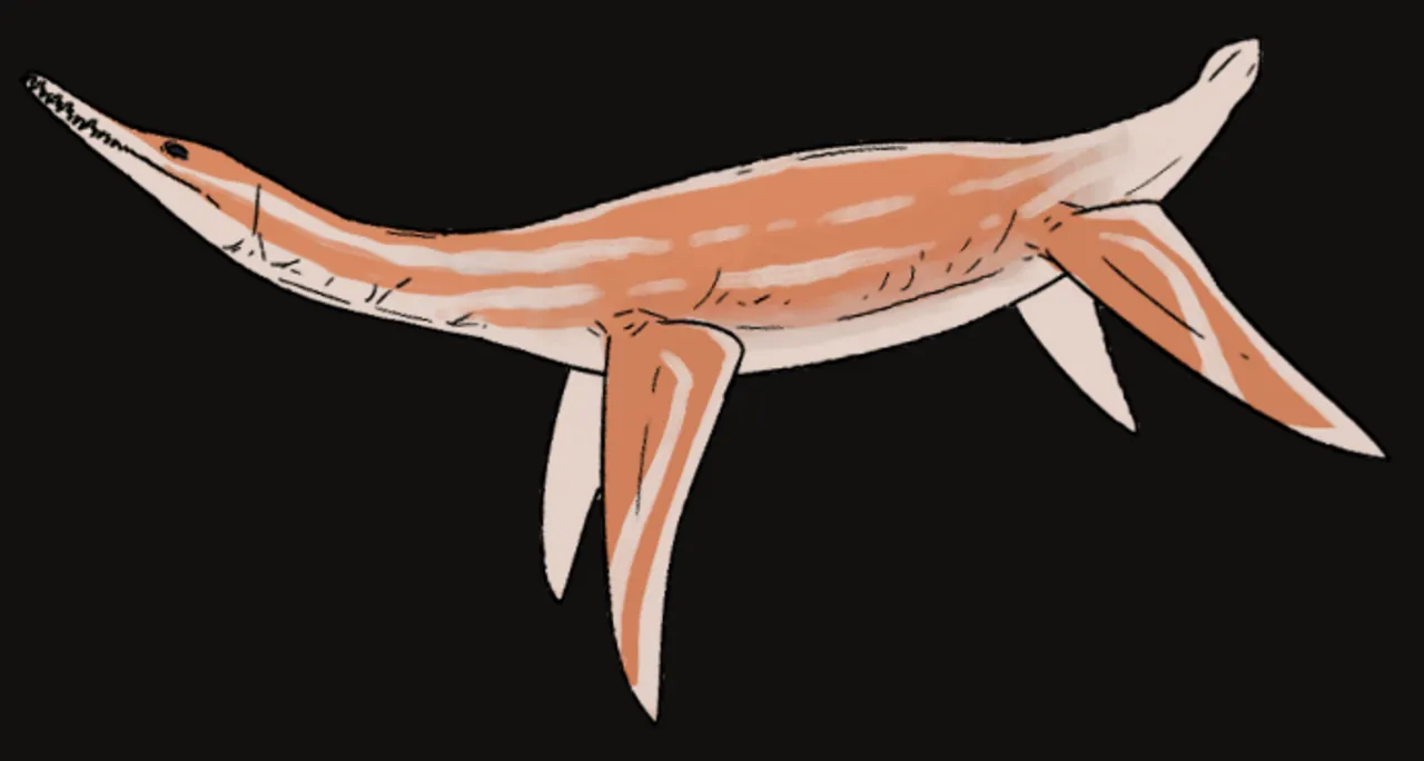 ปาลมูลาซอรัส (Palmulasaurus)