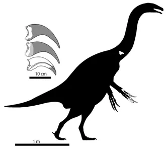 พาราลิเธอริซิโนซอรัส (Paralitherizinosaurus)