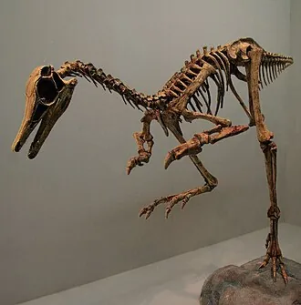 ปาตาโกนีคัส (Patagonykus)