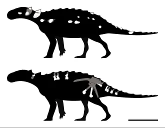 พาตาโกเพลตา (Patagopelta)