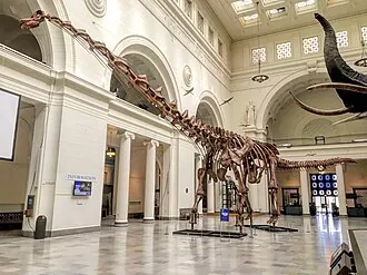พาตาโกไททัน (Patagotitan)