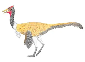 พีลีแคนิมิมัส (Pelecanimimus)