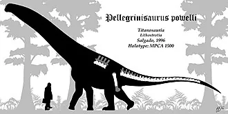 เปลเลกรีนิซอรัส (Pellegrinisaurus)