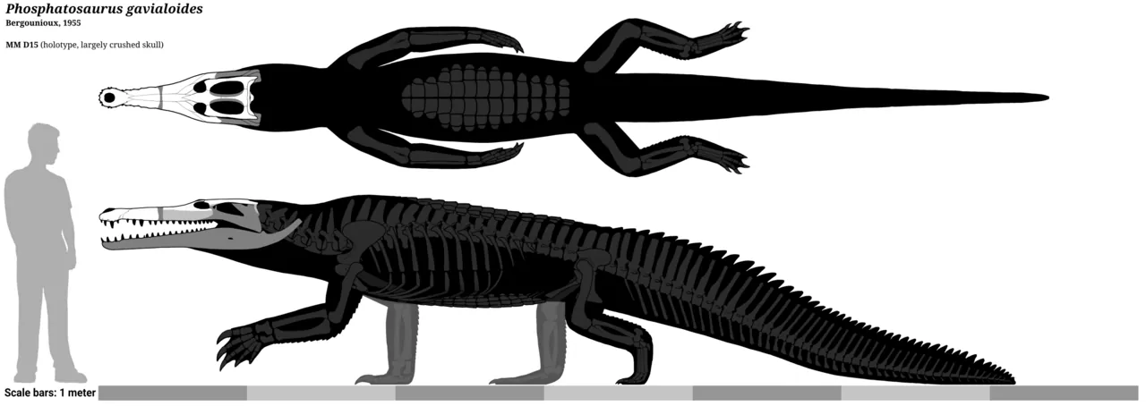 ฟอสฟาโตซอรัส (Phosphatosaurus)