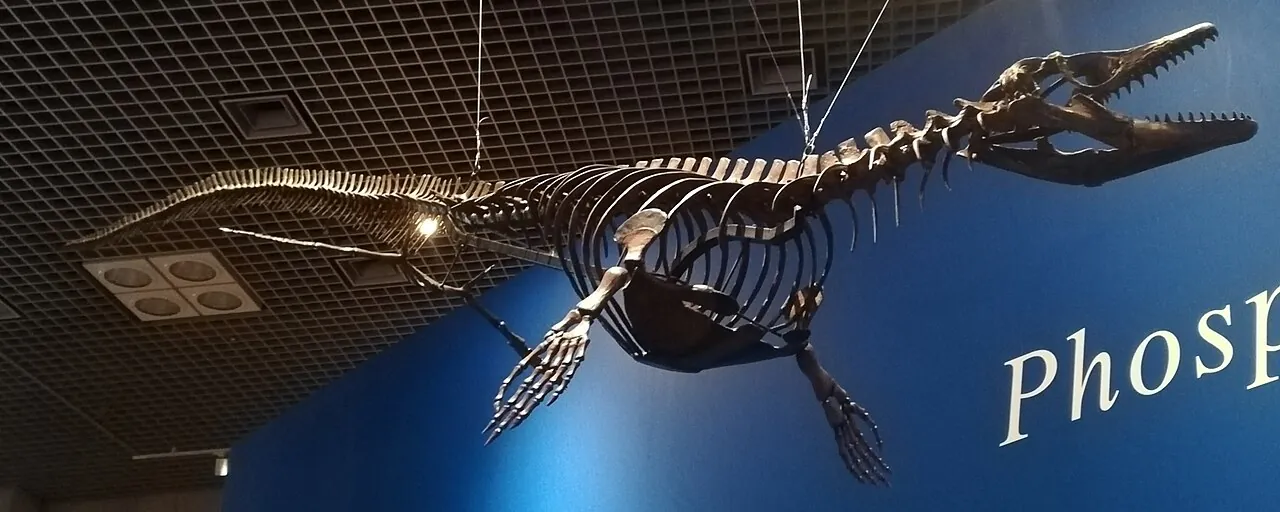 ฟอสโฟโรซอรัส (Phosphorosaurus)