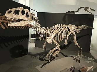 เพียตนิทซ์กีซอรัส (Piatnitzkysaurus)