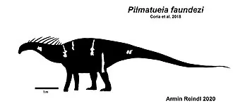 พิลมาทูเอเอีย (Pilmatueia)