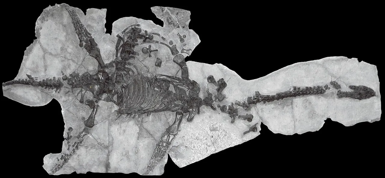 เพลซิโอซอรัส (Plesiosaurus)