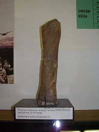 โพเนโรสเตียส (Ponerosteus)