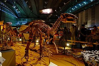 โพรแบคโทรซอรัส (Probactrosaurus)