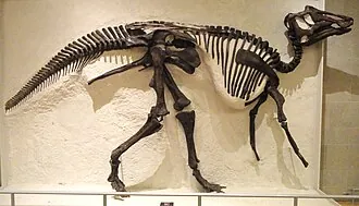 โพรซอโรโลฟัส (Prosaurolophus)