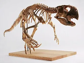 ซิตตะโกซอรัส (Psittacosaurus)