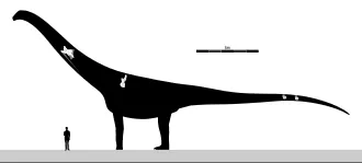ปูเอร์ตาซอรัส (Puertasaurus)