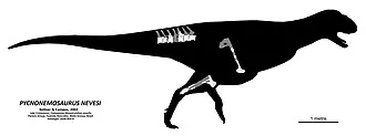 พิคโนนีโมซอรัส (Pycnonemosaurus)