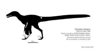 ไพโรรัปเตอร์ (Pyroraptor)