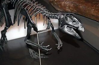 ควอนตาซอรัส (Qantassaurus)