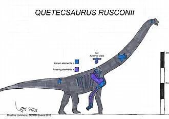 เควเทกซอรัส (Quetecsaurus)