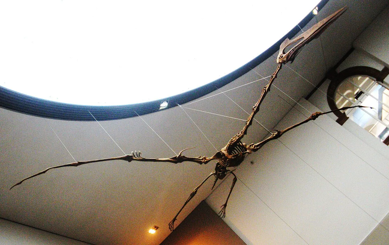 เควตซัลโคอาทลัส (Quetzalcoatlus)
