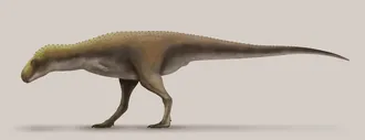 ราฮิโอลิซอรัส (Rahiolisaurus)
