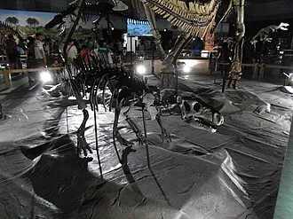แรบดอดอน (Rhabdodon)