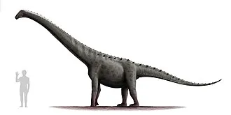 รินคอนซอรัส (Rinconsaurus)