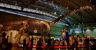 รูหยางโนเซารัส (Ruyangosaurus)