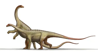 ซัลตาซอรัส (Saltasaurus)