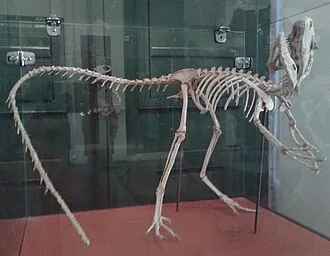แซนแทนาแรปเตอร์ (Santanaraptor)