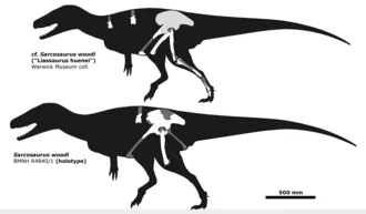 ซาร์โคซอรัส (Sarcosaurus)