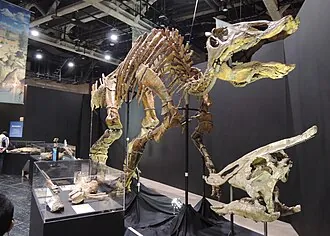 ซอโรโลฟัส (Saurolophus)