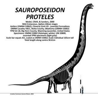 ซอโรโพไซดอน (Sauroposeidon)