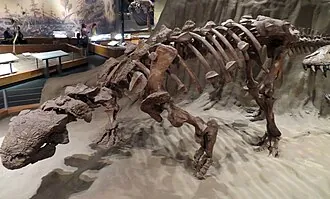 สโคโลซอรัส (Scolosaurus)