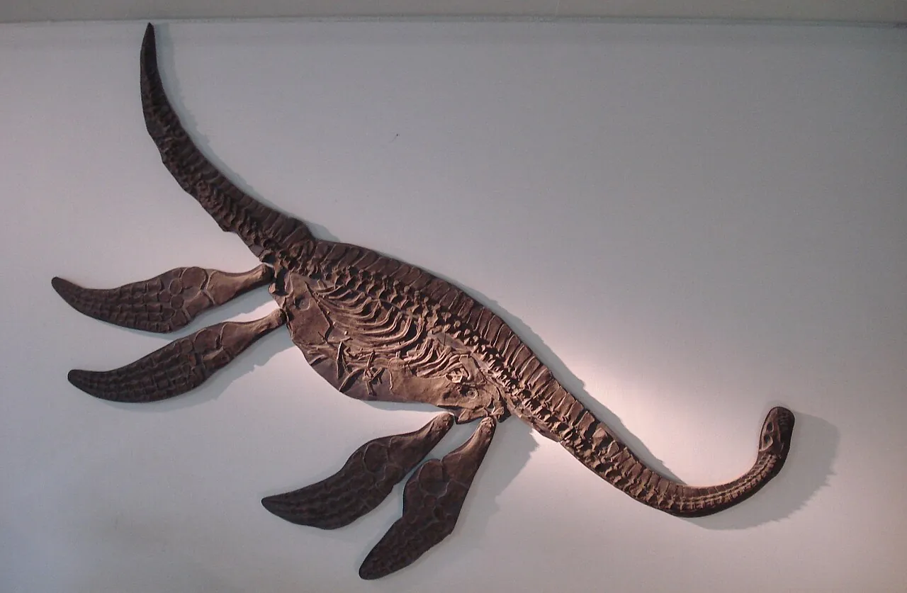 ซีลีย์โอซอรัส (Seeleyosaurus)