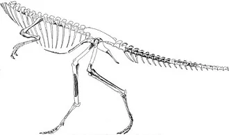 เซกิซอรัส (Segisaurus)