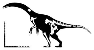 เซกโนซอรัส (Segnosaurus)