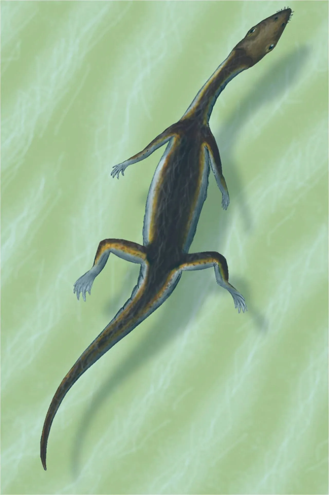 เซอร์เปียโนซอรัส (Serpianosaurus)