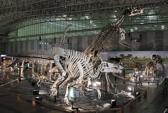 ชานตุงโนซอรัส (Shantungosaurus)