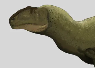 ชิไดซอรัส (Shidaisaurus)