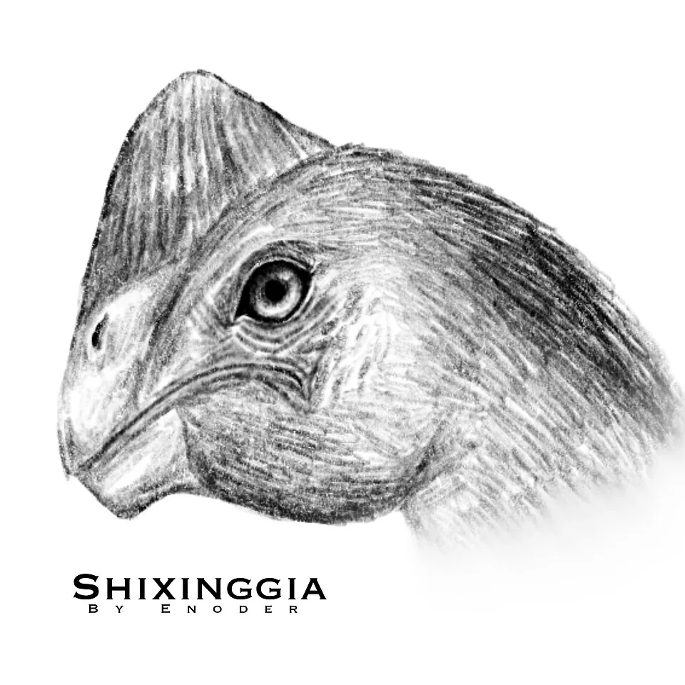 ซื่อซิงเจีย (Shixinggia)