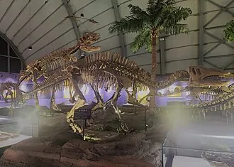 ชวงเหมียวซอรัส (Shuangmiaosaurus)