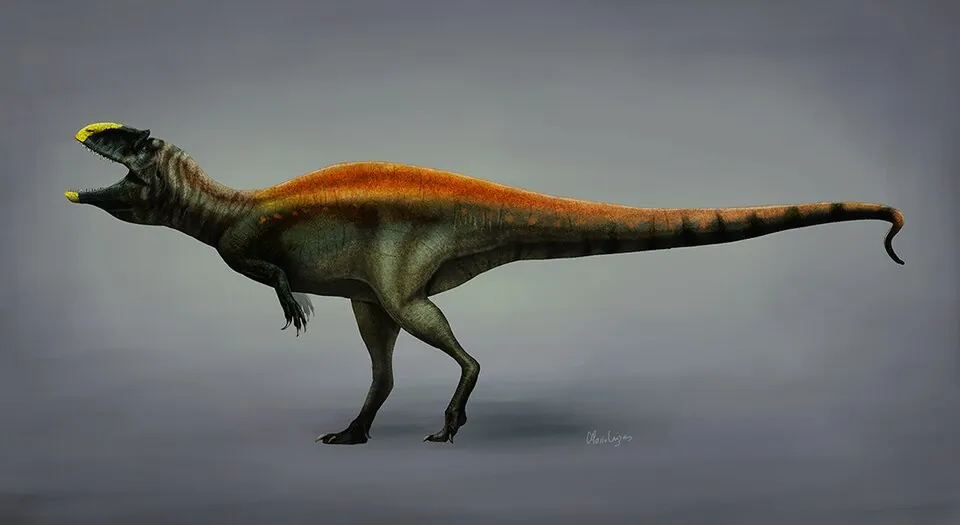 สยามแรปเตอร์ (Siamraptor)