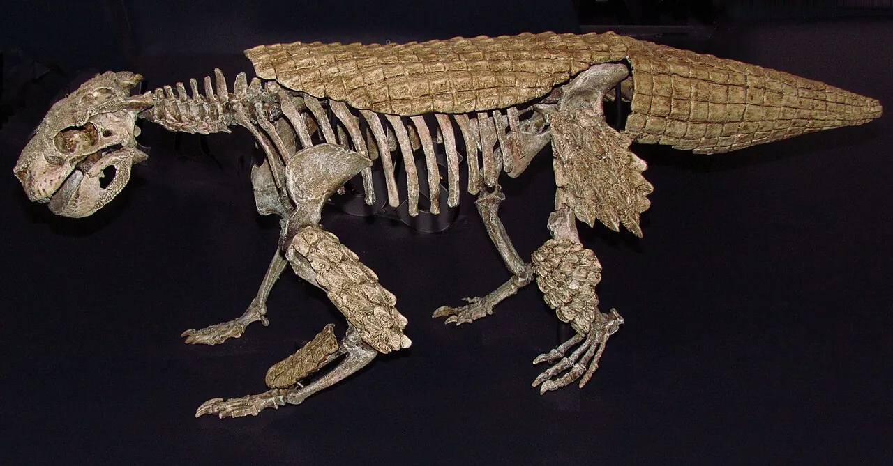 ซิโมซูคัส (Simosuchus)